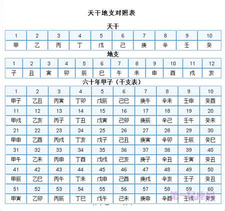 1982 天干地支|天干地支对照表